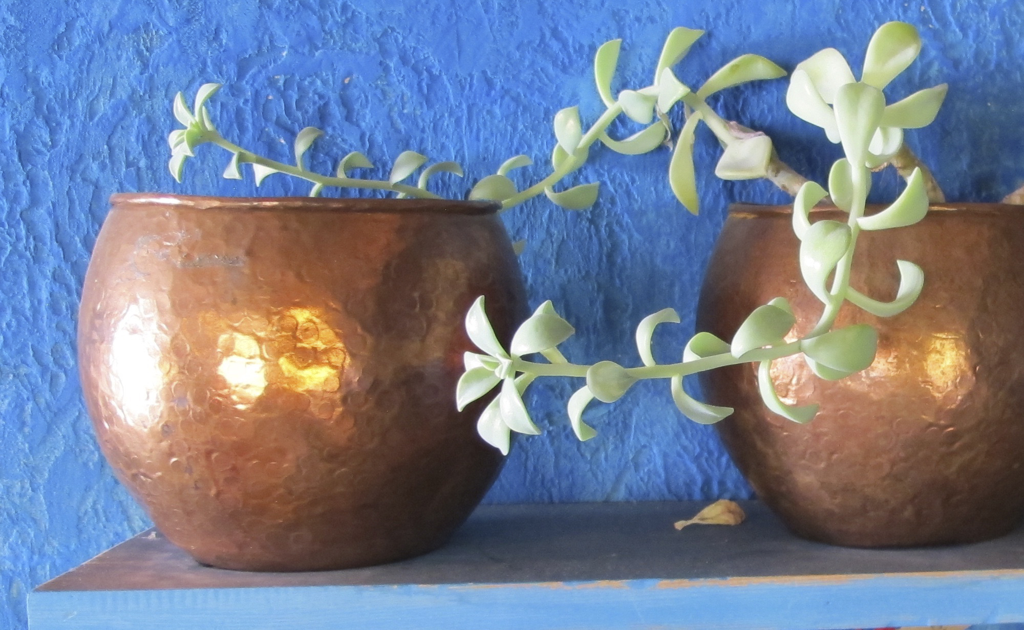pot cuivre Nepal artisanat decoration